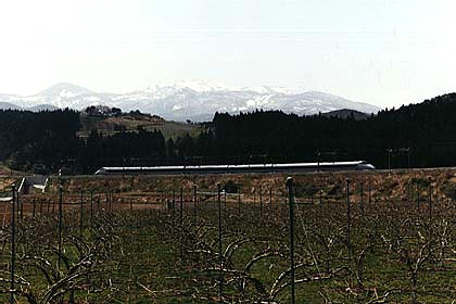 h06h2_05.jpg (48097 oCg)