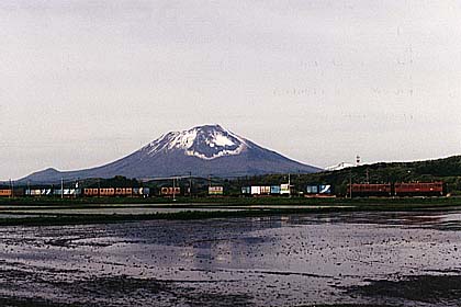 h06h5_03.jpg (25541 oCg)
