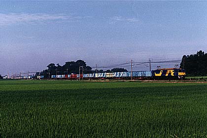 h06h7_08.jpg (25842 oCg)