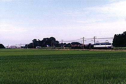 h06h7_12.jpg (24374 oCg)