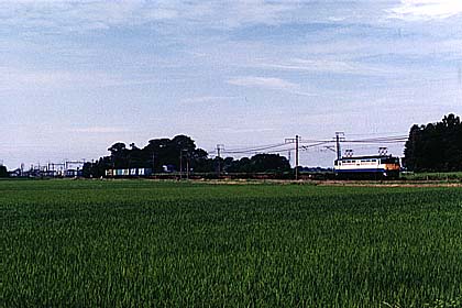 h06h7_13.jpg (27928 oCg)