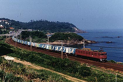 h06n2_08.jpg (37952 oCg)