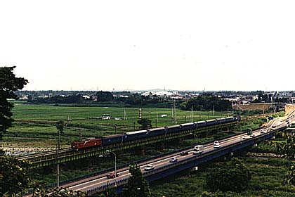 h06n4_10.jpg (27198 oCg)