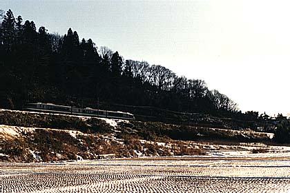 h07fA_04.jpg (31556 oCg)