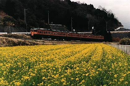 h07h1_02.jpg (39798 oCg)
