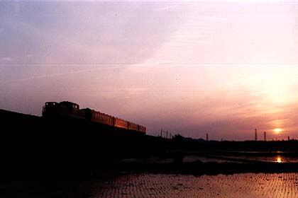 h07hE_08.jpg (10584 oCg)