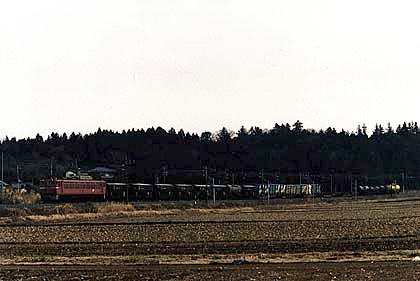 h05f7_10.jpg (41153 oCg)