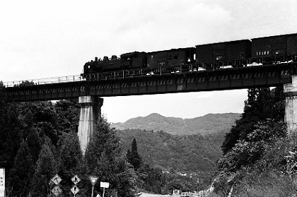 s15014.jpg (34581 oCg)