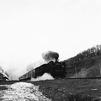 ss17001.jpg (42164 oCg)