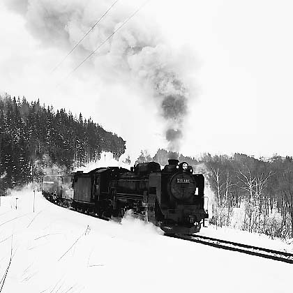 ss17005.jpg (34976 oCg)