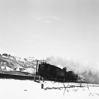 ss17006.jpg (26076 oCg)