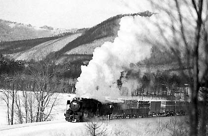 ss18001.jpg (33152 oCg)