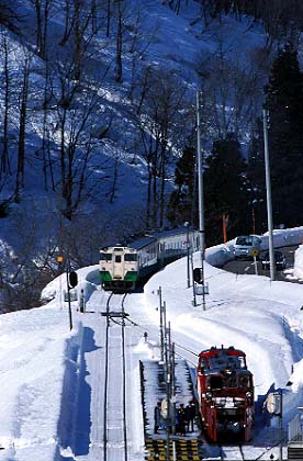 stdm016.jpg (35048 oCg)